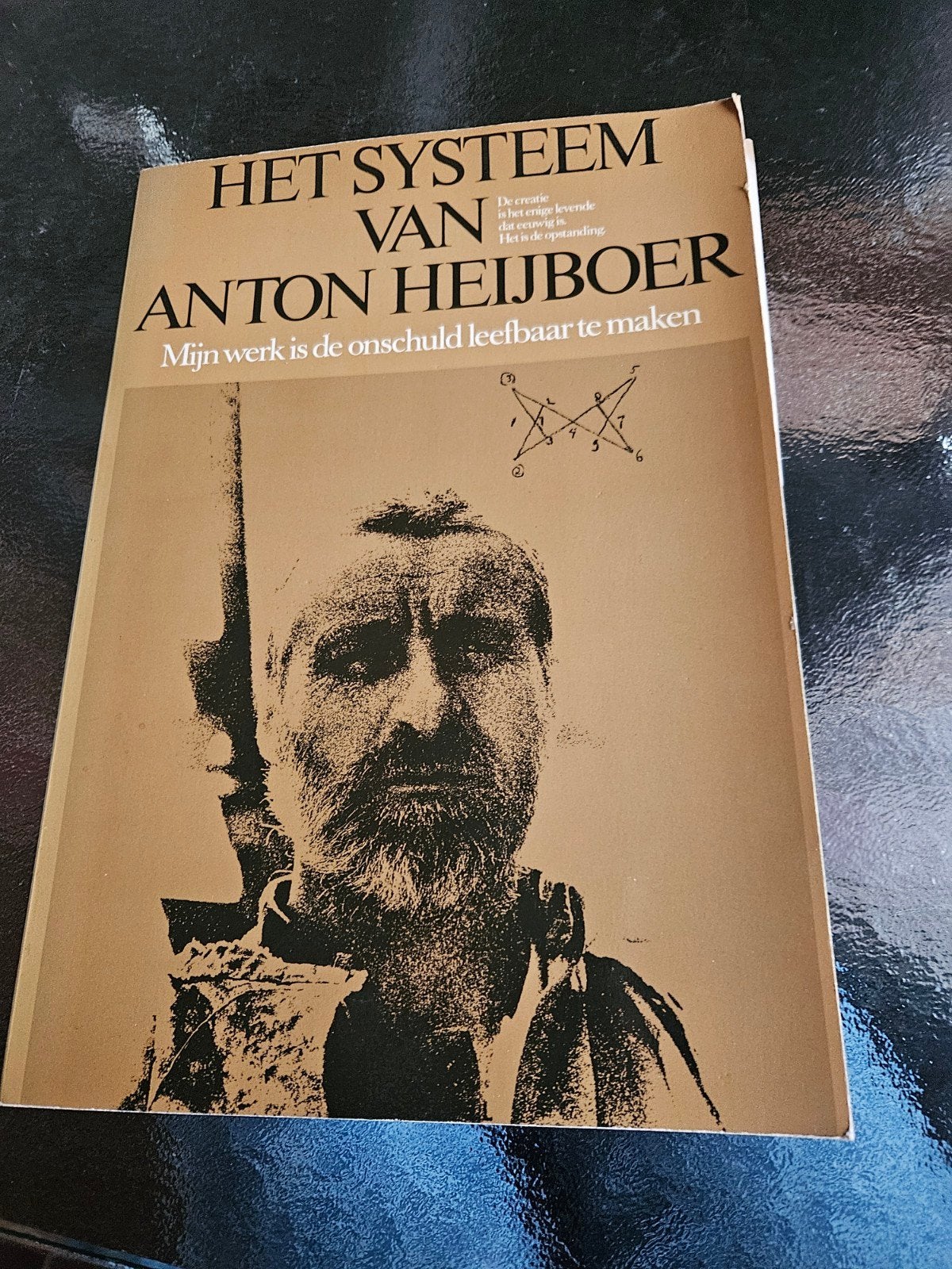 Het Systeem van Anton Heijboer - Mijn werk is de onschuld, Ophalen of Verzenden, Gelezen, Anton Heijboer, Nederland