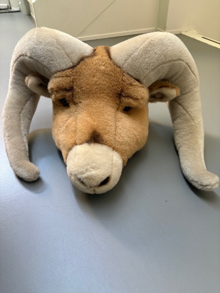 Bibib Ram, Ophalen, Zo goed als nieuw, Wanddecoratie