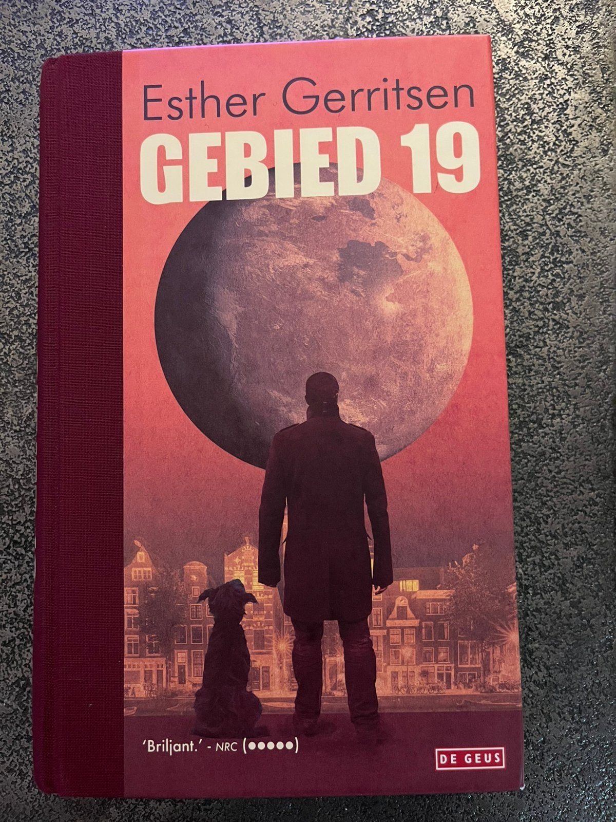 Esther Gerritsen - Gebied 19, Ophalen of Verzenden, Zo goed als nieuw, Esther Gerritsen