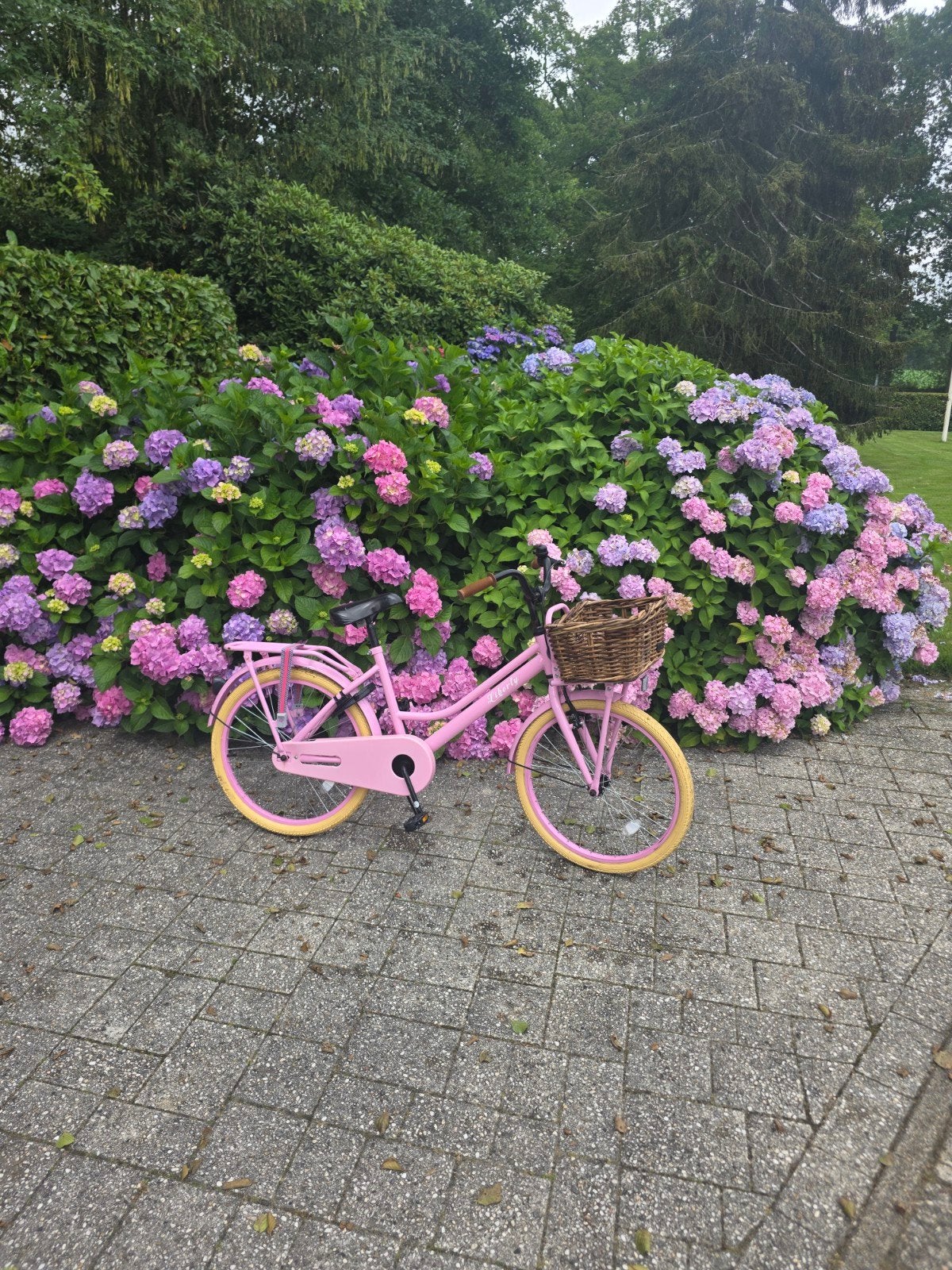 Roze spirit kinderfiets, 56 cm of meer, Ophalen, Zo goed als nieuw, Overige merken