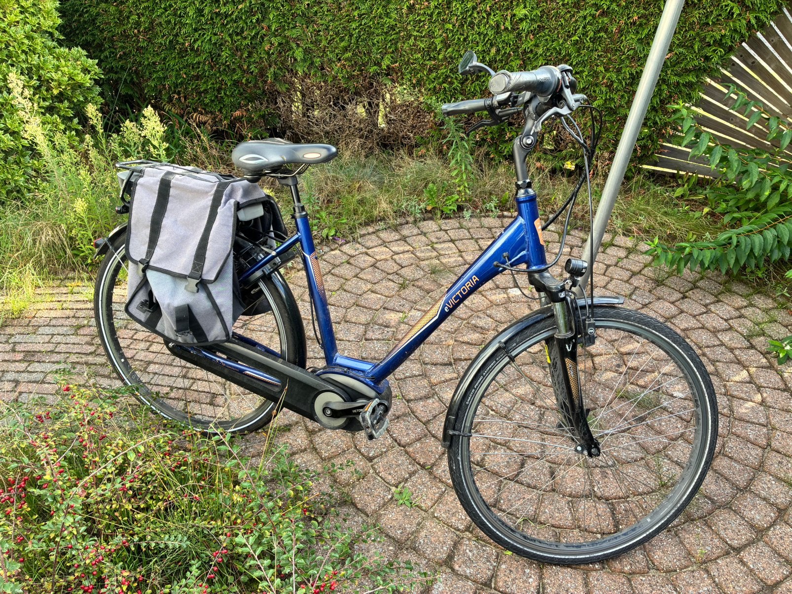 Goede elektrische fiets merk Victoria, Ophalen, Gebruikt, Overige merken