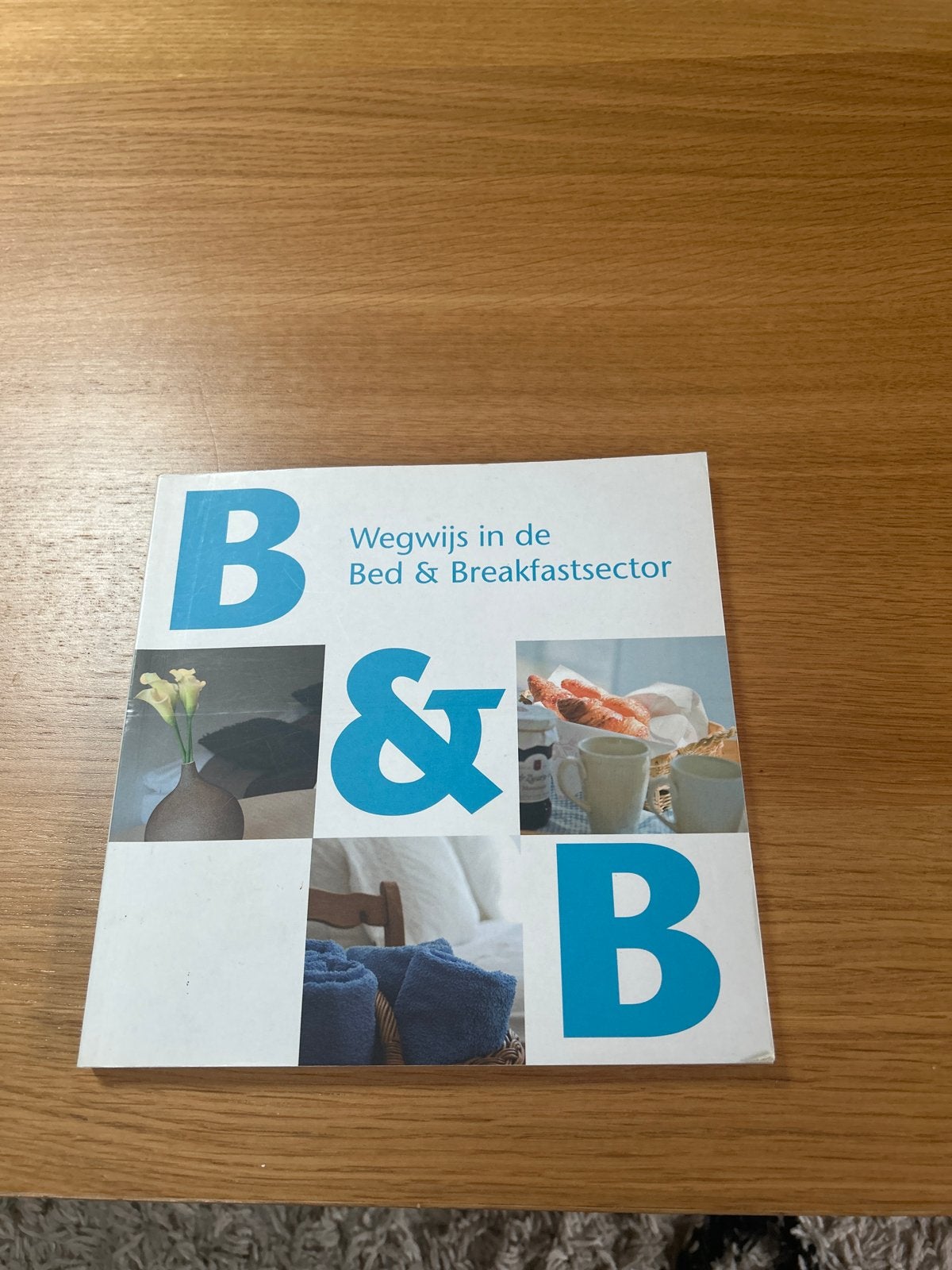 Wegwijs in de Bed & Breakfastsector - Handboek, Ophalen of Verzenden, Zo goed als nieuw