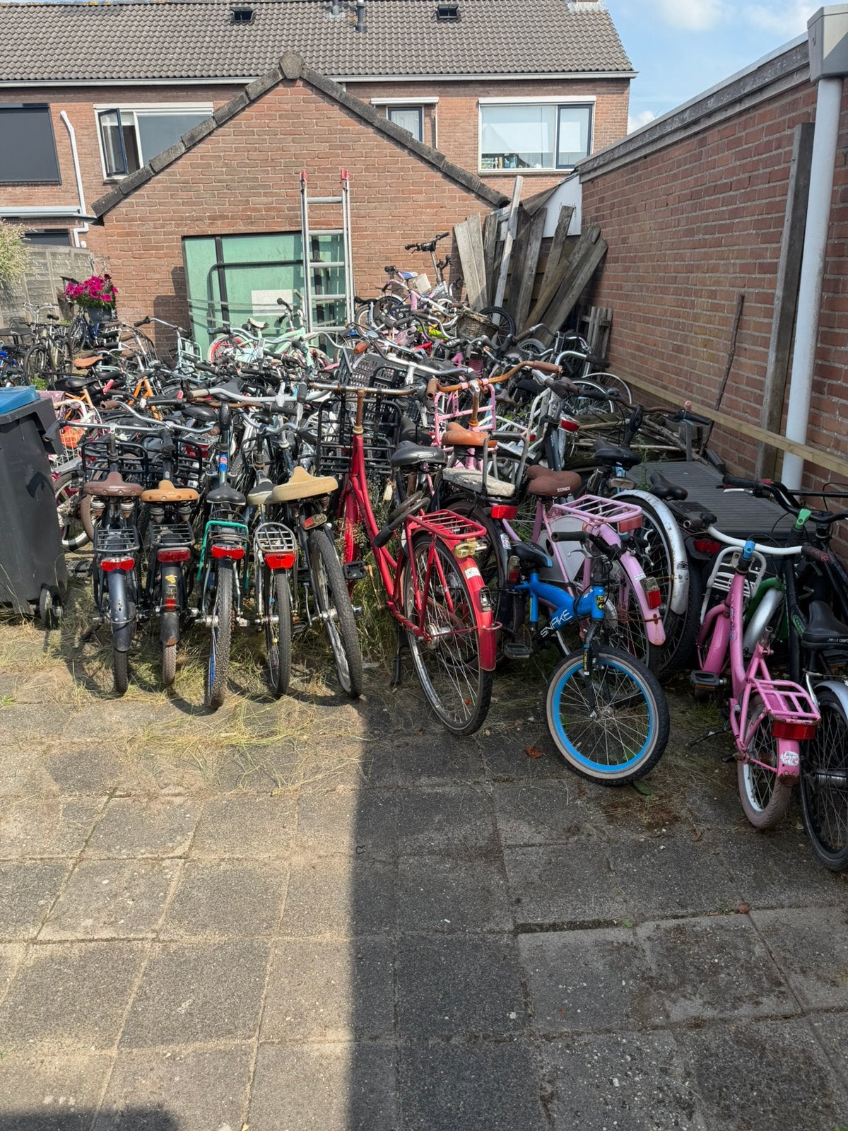 Partij lichte opknapfietsen A merk gazelle batavus 65+/- st, Fietsen en Brommers, Fietsen | Dames | Damesfietsen, 56 cm of meer