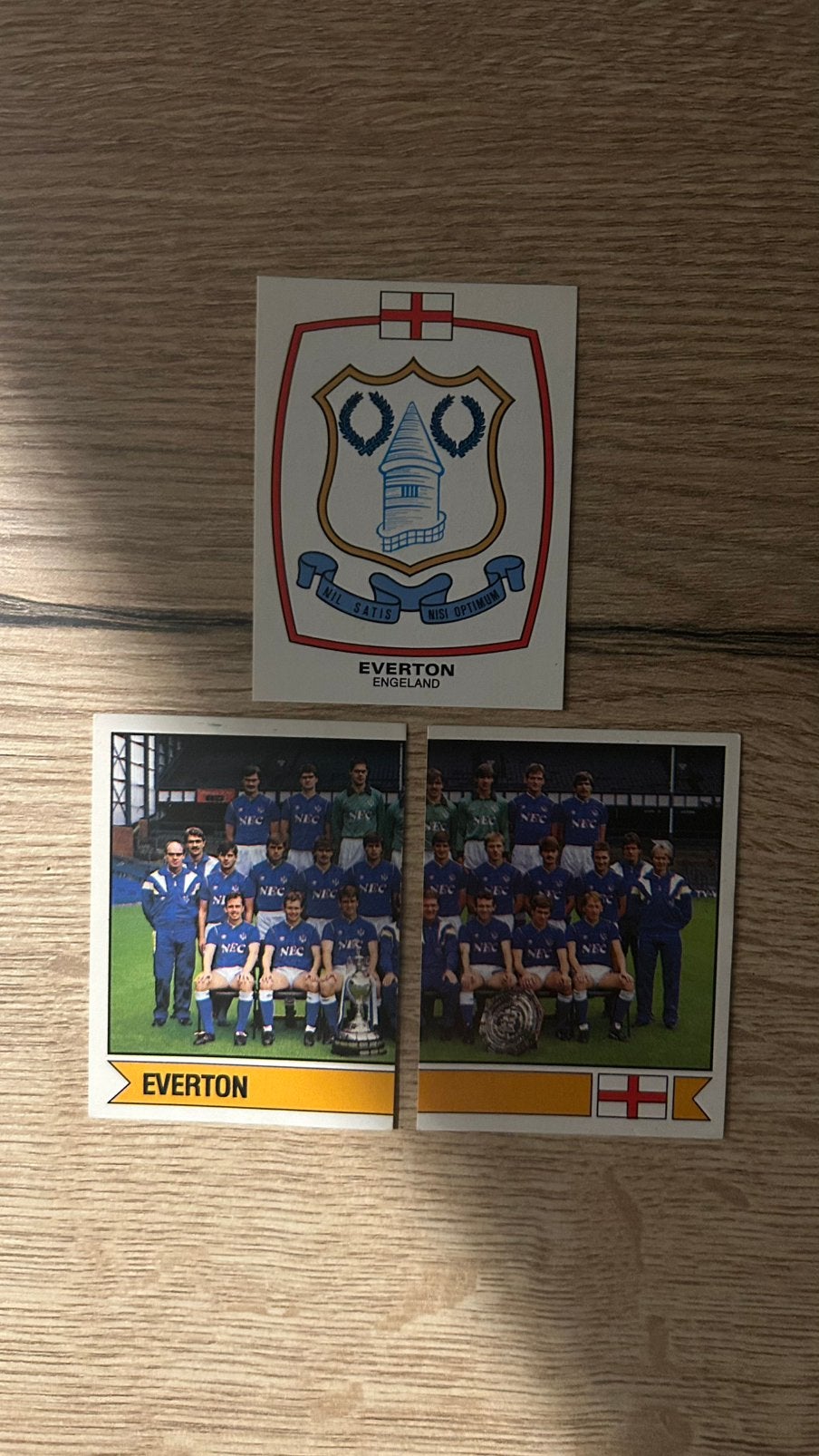 Panini Voetbal 88 plaatjes Everton 3x, Verzenden, Zo goed als nieuw, Meerdere plaatjes