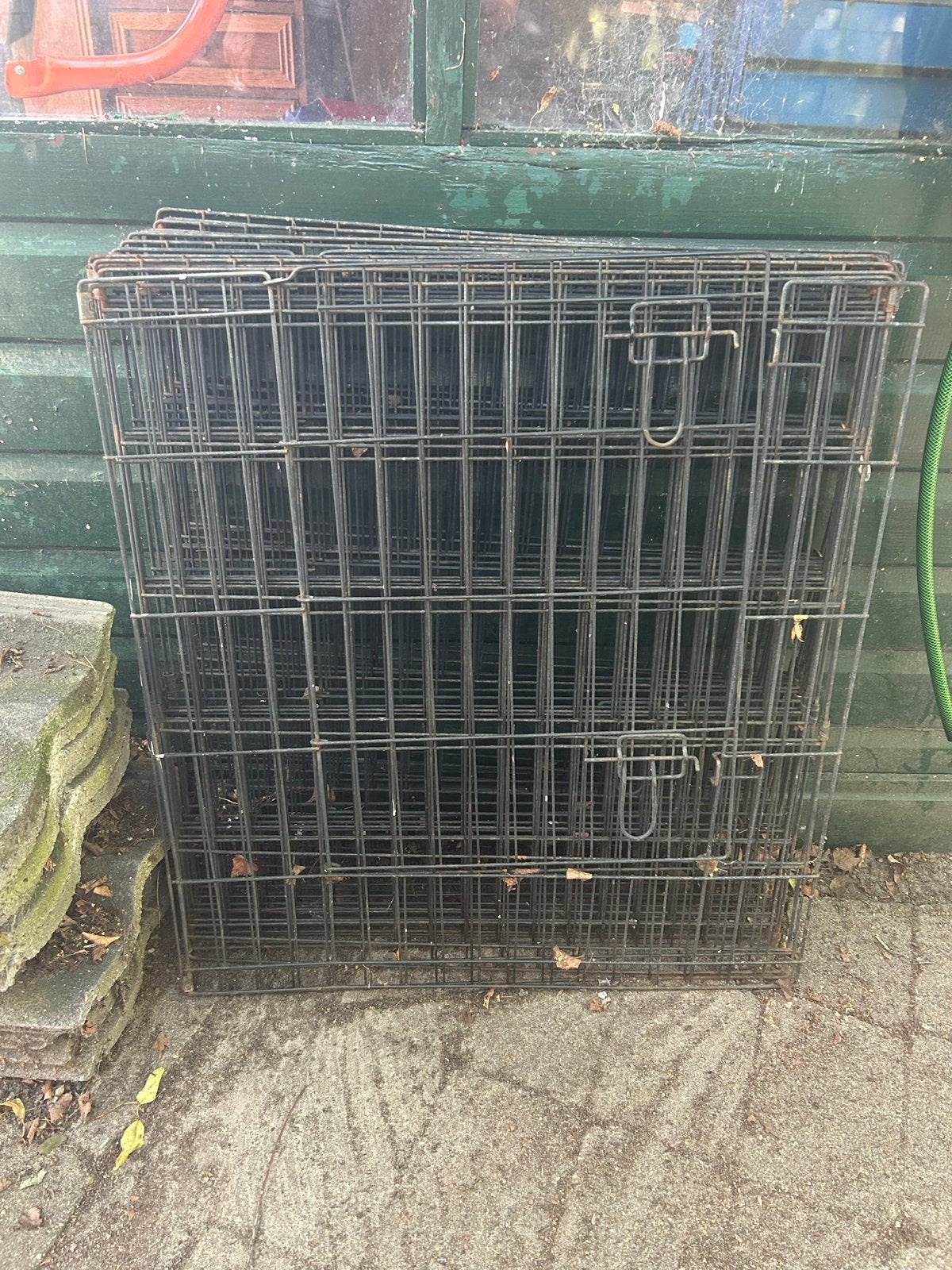 Hondenren, Dieren en Toebehoren, Ophalen of Verzenden