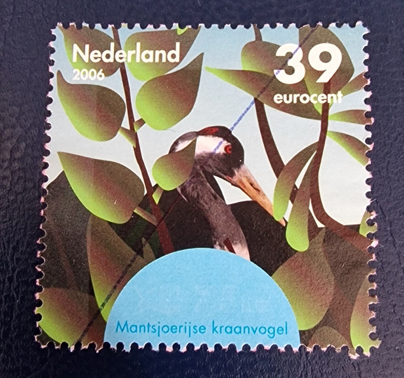kv711 nvph 2441c jaar 2006 gestempeld, Ophalen of Verzenden, Na 1940, Gestempeld