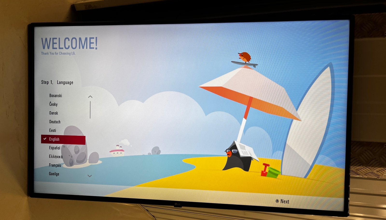 LG 49” TV inclusiief wandbeugwl, Ophalen, Gebruikt, 50 Hz, LCD