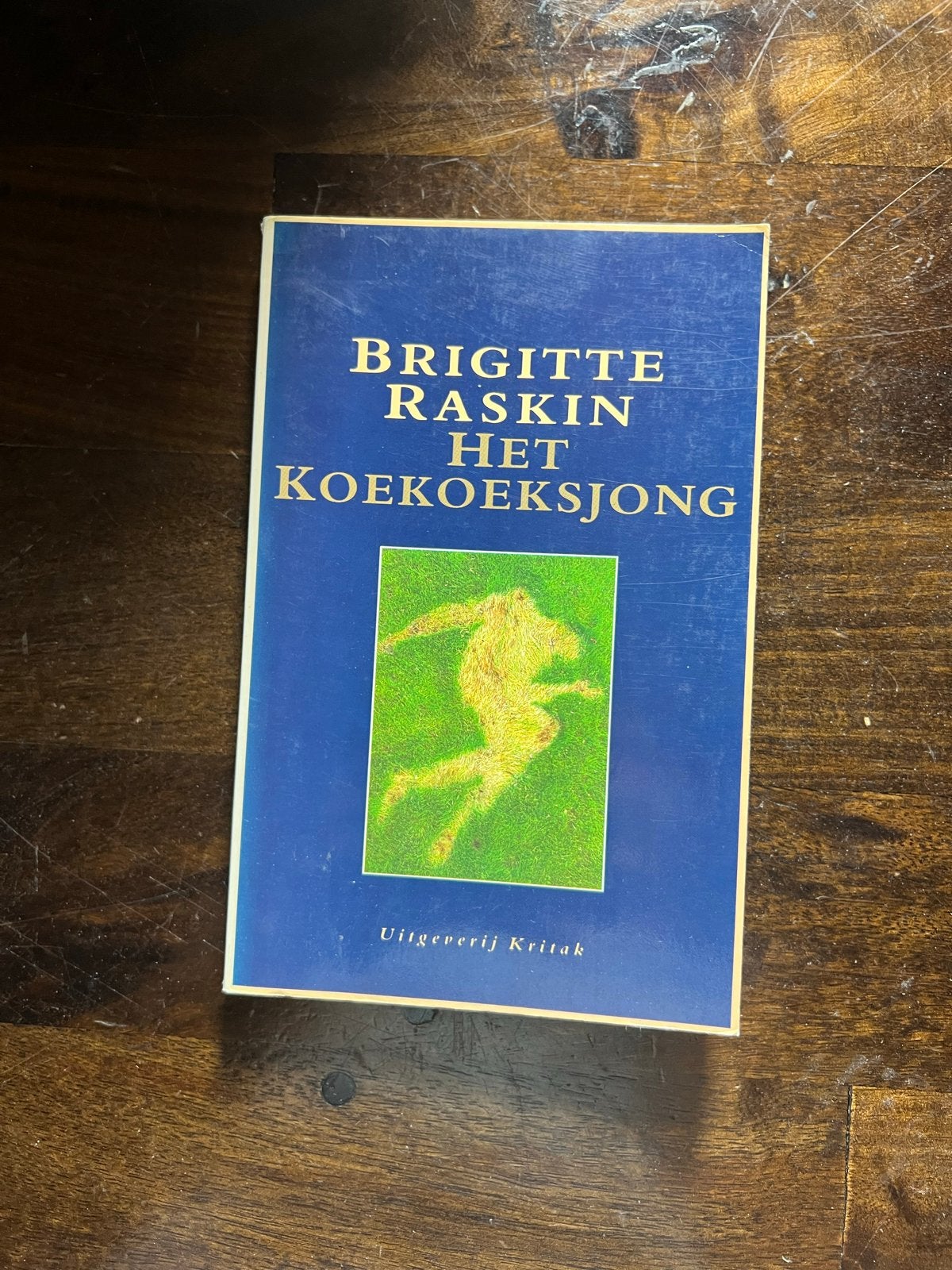 Brigitte Raskin - Het Koekoeksjong (Roman), Ophalen of Verzenden, Gelezen