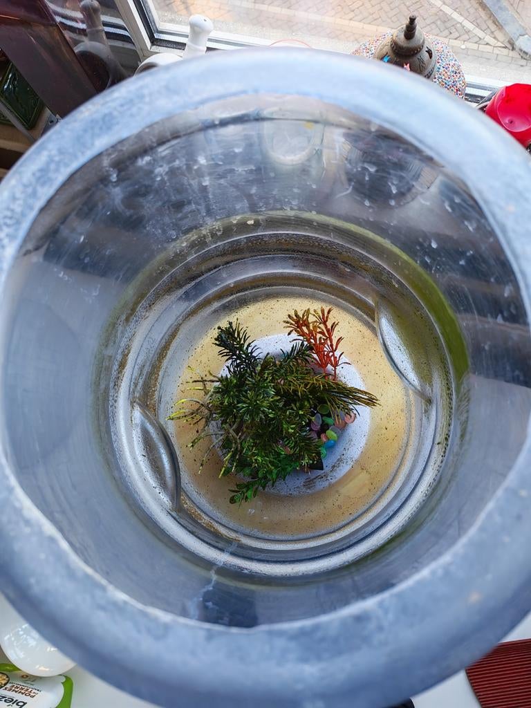 Aquarium for Gratis, Dieren en Toebehoren, Vissen | Aquariumvissen, Vis