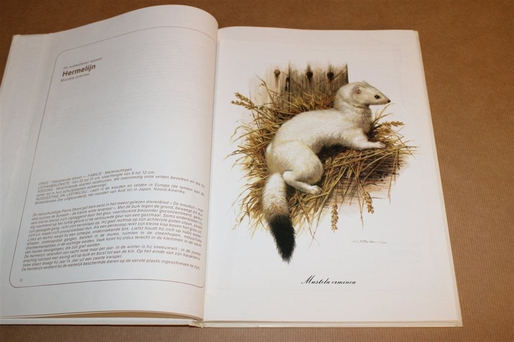 Delhaize Album — De Wildedieren Wereld — Compleet, Ophalen of Verzenden, Gelezen, Paarden of Pony's