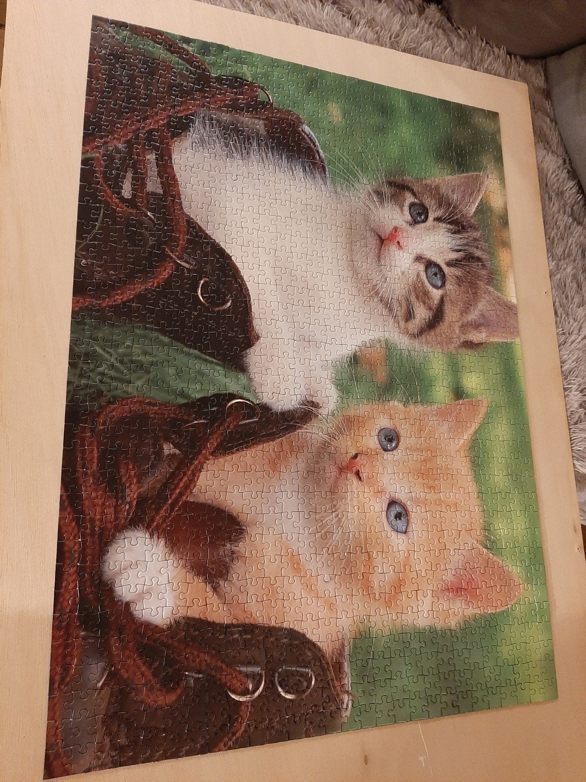 legpuzzel poesjes, Ophalen of Verzenden, 500 t/m 1500 stukjes
