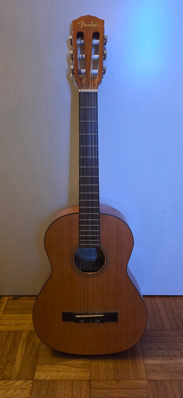 Fender akoestische gitaar ESC80, Ophalen, Zo goed als nieuw, Western- of Steelstringgitaar