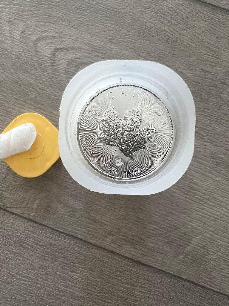 Tube Maple Leaf 1 oz zilver 25x, Postzegels en Munten, Edelmetalen en Baren, Ophalen of Verzenden, Zilver