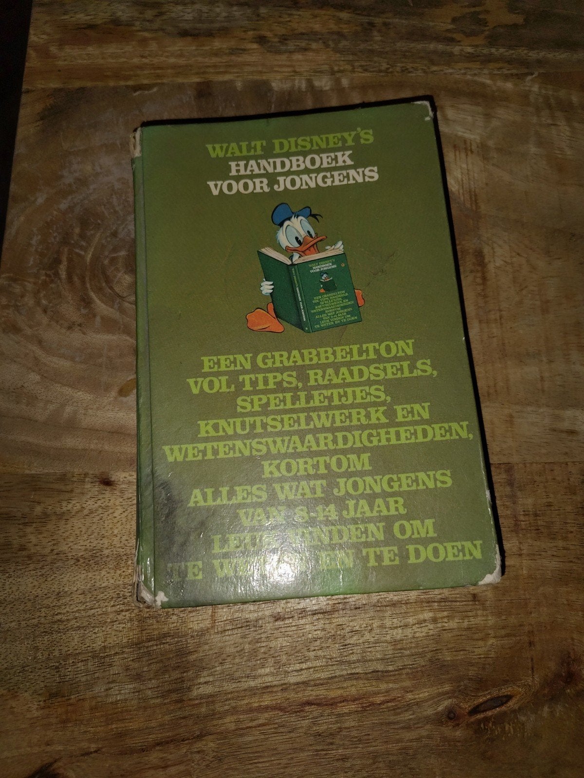 Walt Disney's Handboek voor Jongens - Vintage Boek, Ophalen of Verzenden, Gelezen, Walt Disney, Non-fictie