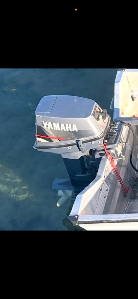 Buitenboordmotor, Watersport en Boten, Ophalen, Zo goed als nieuw, Benzine