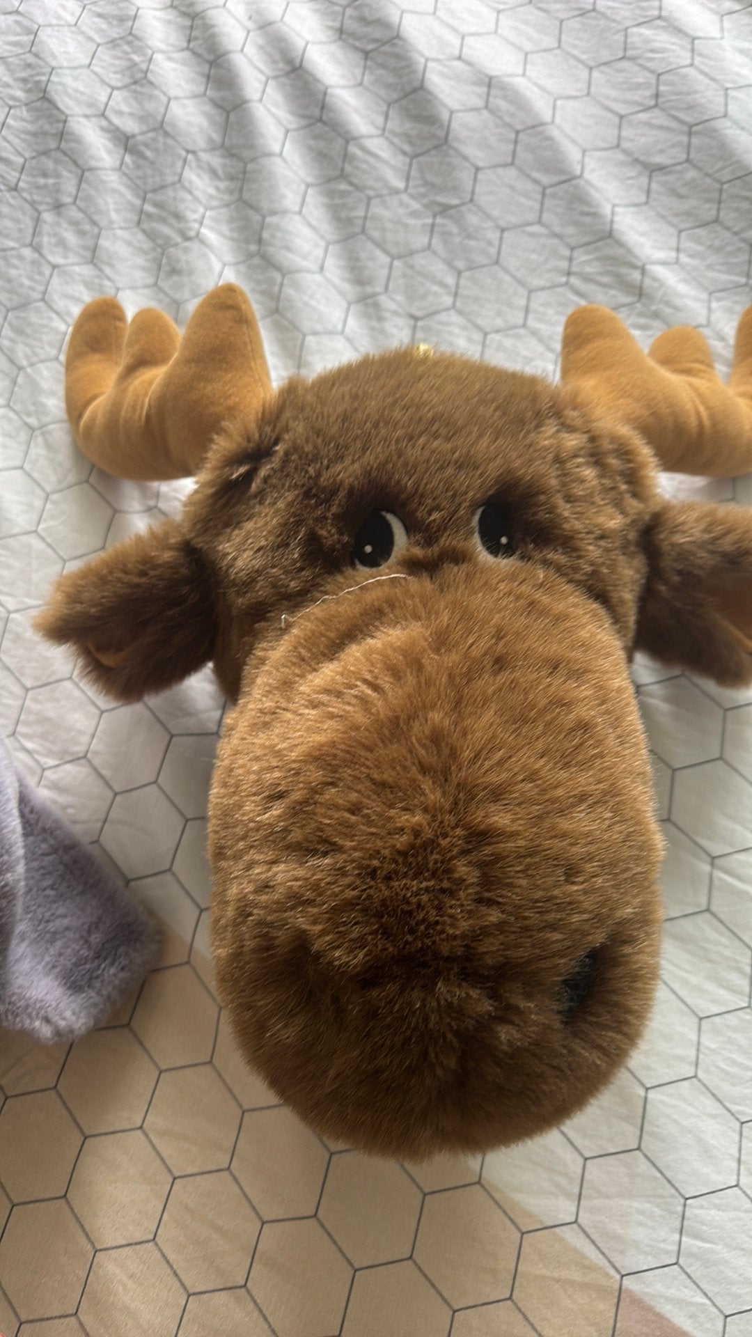 2x pluche dierenkop voor aan muur, Kinderen en Baby's, Speelgoed | Knuffels en Pluche, Ophalen of Verzenden, Zo goed als nieuw