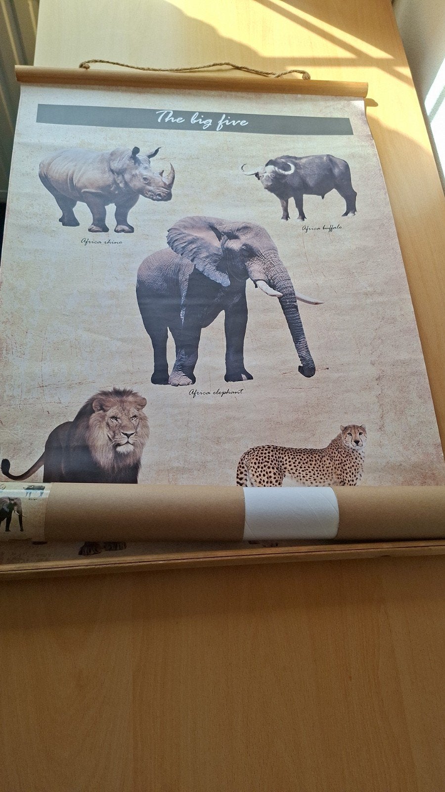 Wanddecoratie 'The Big Five' - Afrikaanse Dieren Poster, Ophalen, 50 – 75, Gebruikt, Foto of Poster