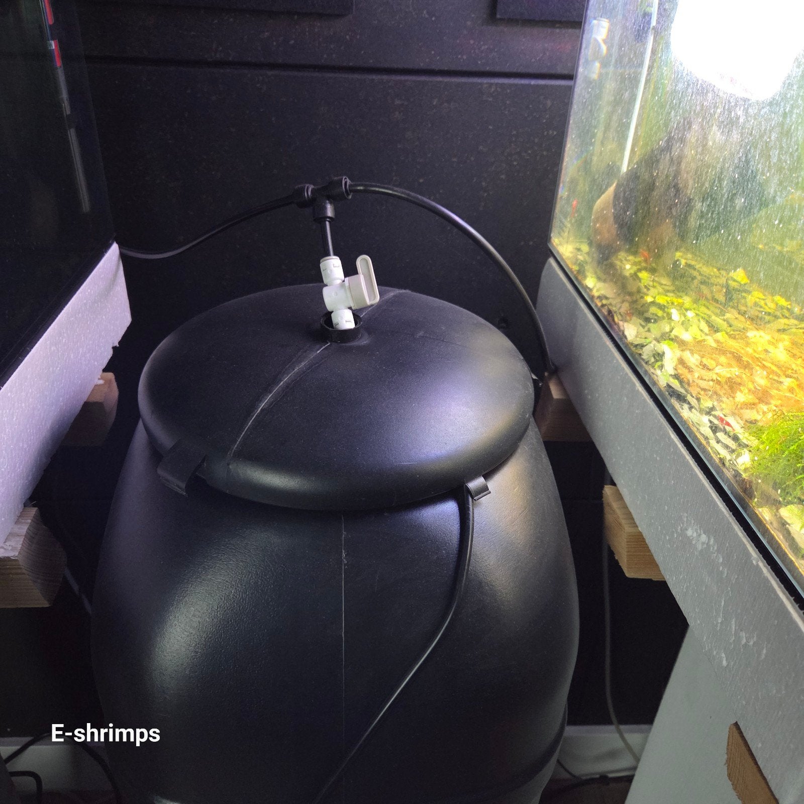 3 x 45 liter aquarium compleet met automatisch bijvulsysteem, Ophalen, Gebruikt, Overige merken, Leeg aquarium