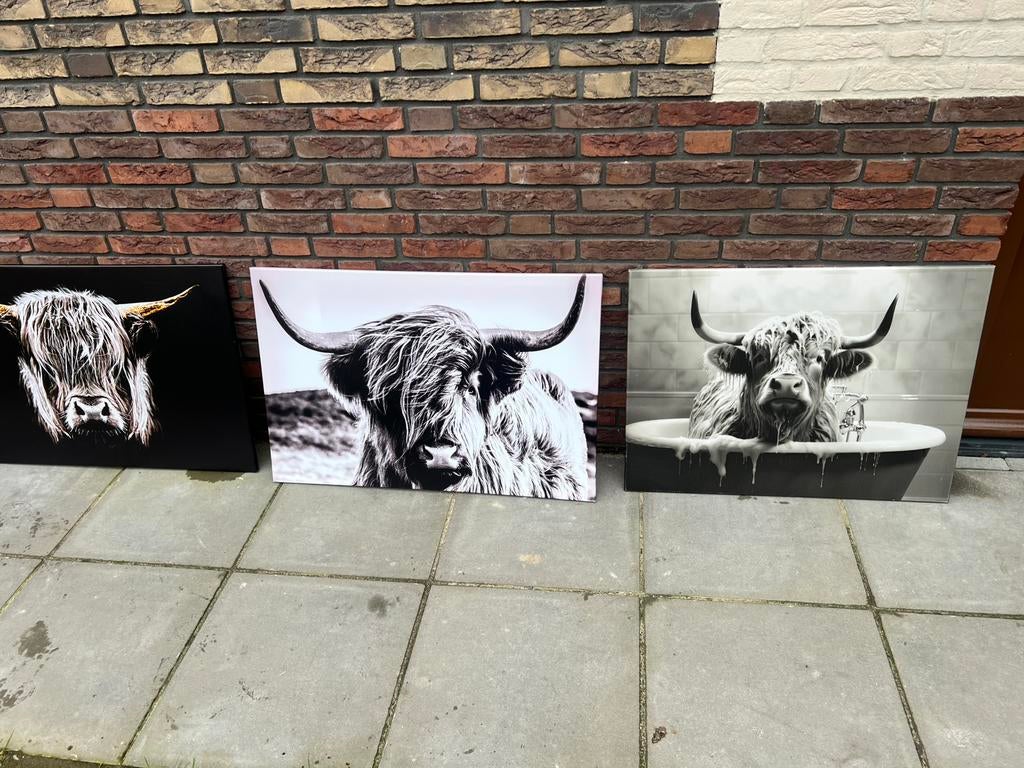 Canvas schotse hooglanders afhaal €10,-/, Ophalen, Nieuw, Schilderij, Minder dan 50 cm
