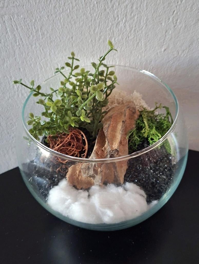 Decoratief vaasje met kunstplanten, Ophalen, Schaal, Rond, Glas