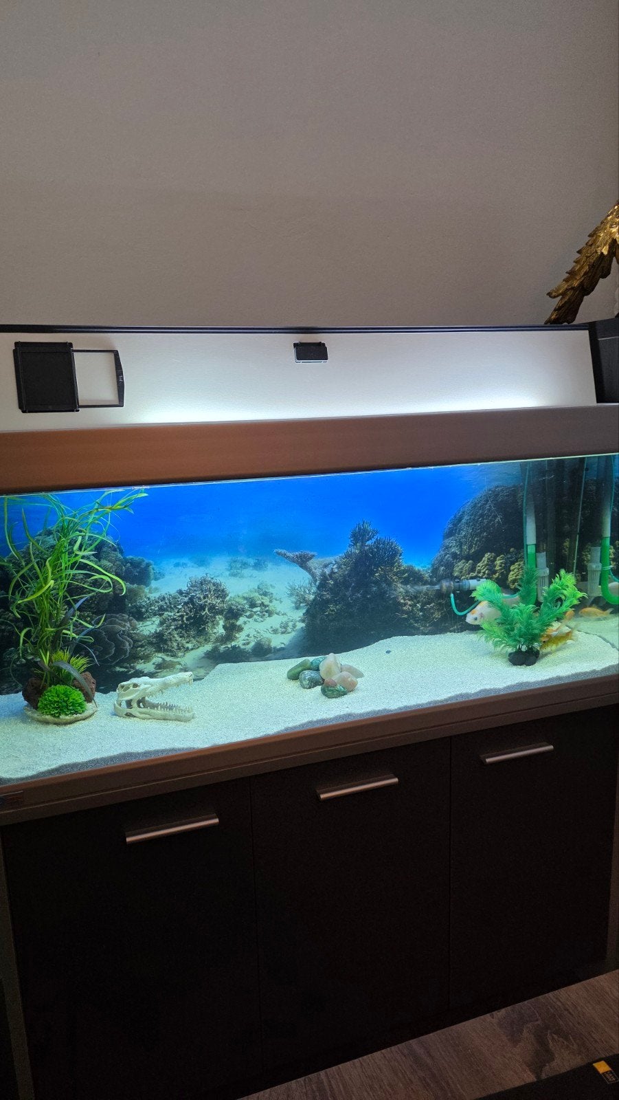 Aqaruim EHEIM MP Scubaline 240., Dieren en Toebehoren, Vissen | Aquaria en Toebehoren, Ophalen, Gebruikt, Leeg aquarium
