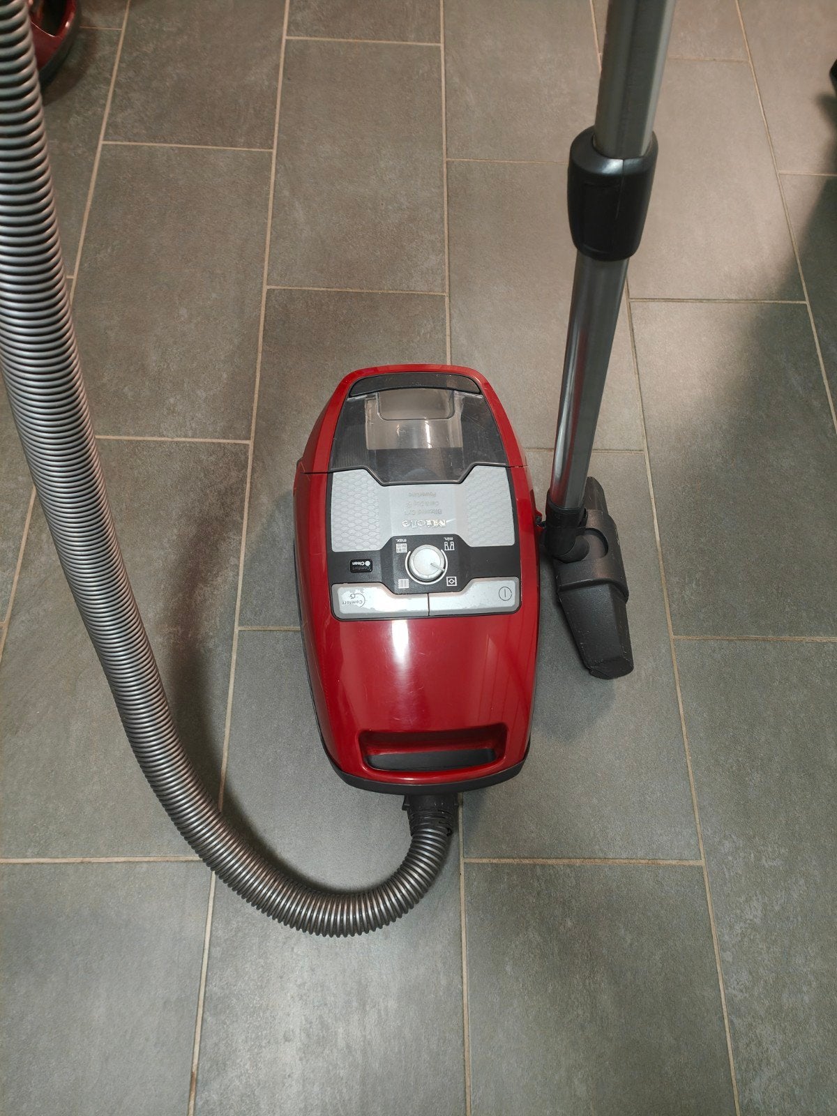 Miele Blizzard CX1 Cat & Dog Powerline ZGAN, Geschikt voor huisdieren, Ophalen of Verzenden, Zo goed als nieuw, Miele