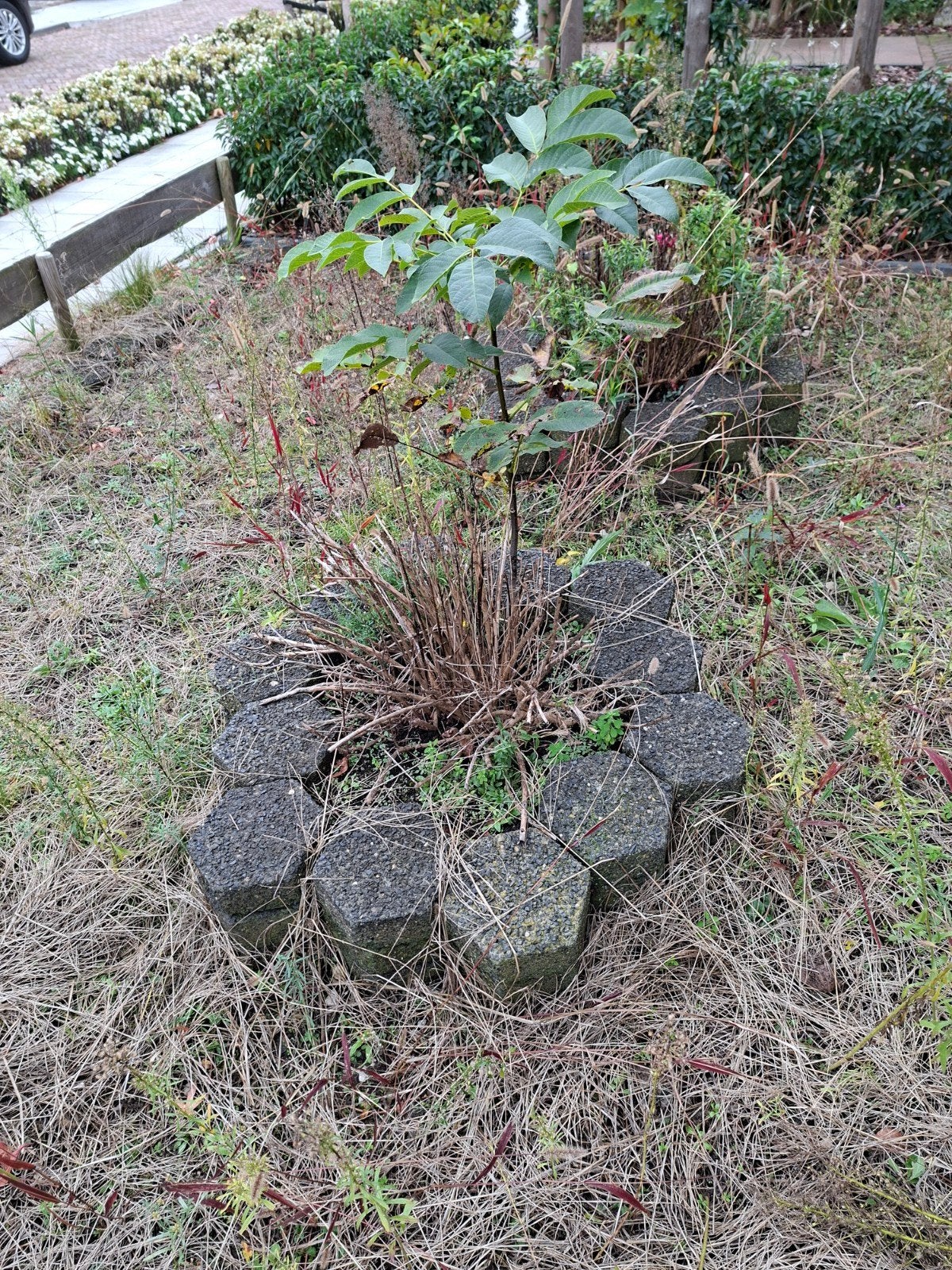 sier stenen voor tuin, Ophalen, Beton, Klinkers