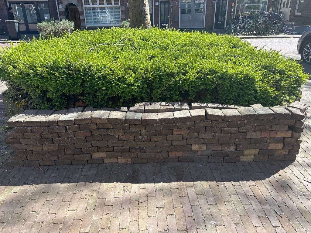 Steentjes 10m2, Tuin en Terras, Tegels en Klinkers, Ophalen, Gebruikt, Klinkers, 10 m² of meer