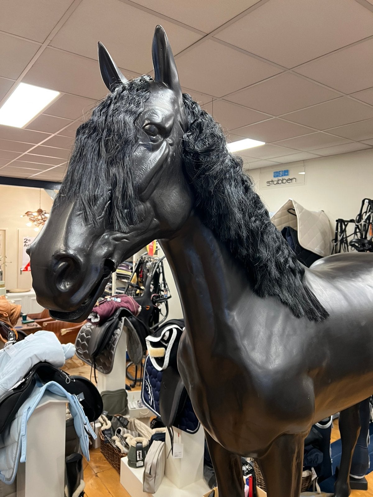 Te koop zwarte ruin- Show Paard - etalage paard
