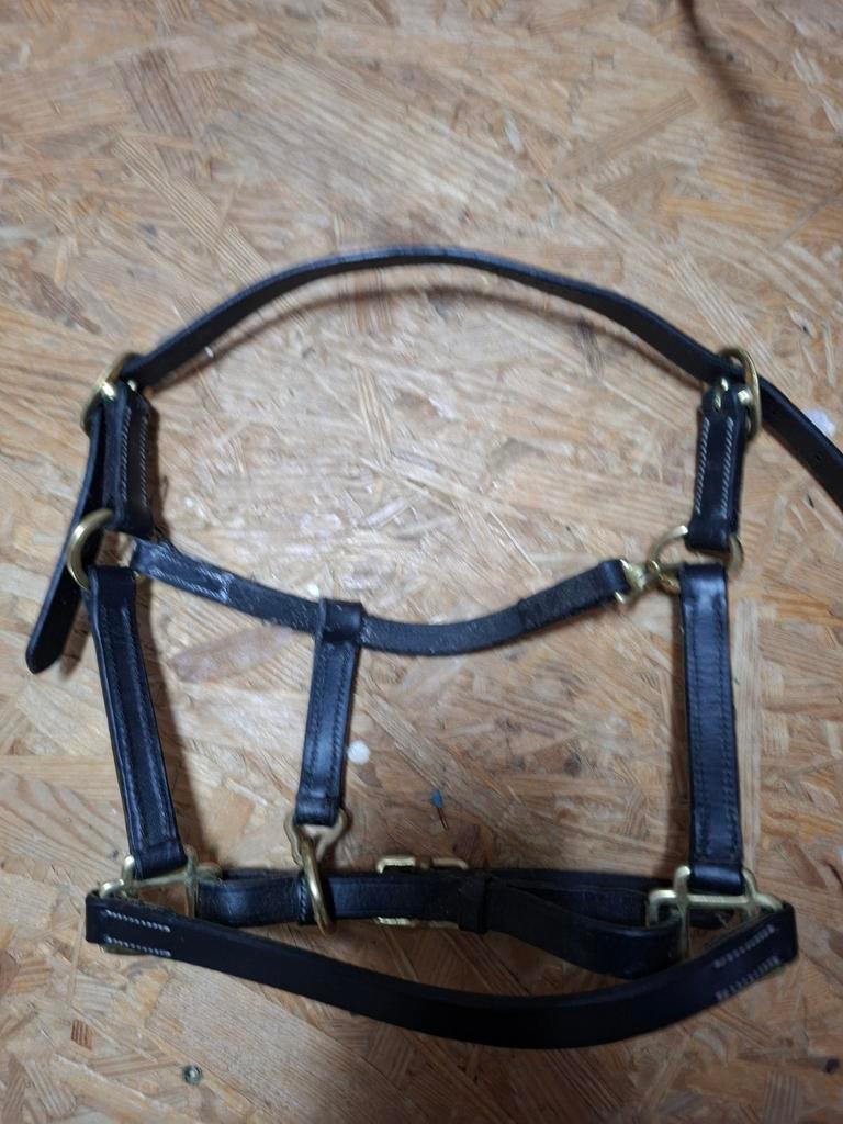 Veulen halster leer pony  keuring, Ophalen of Verzenden, Overige soorten