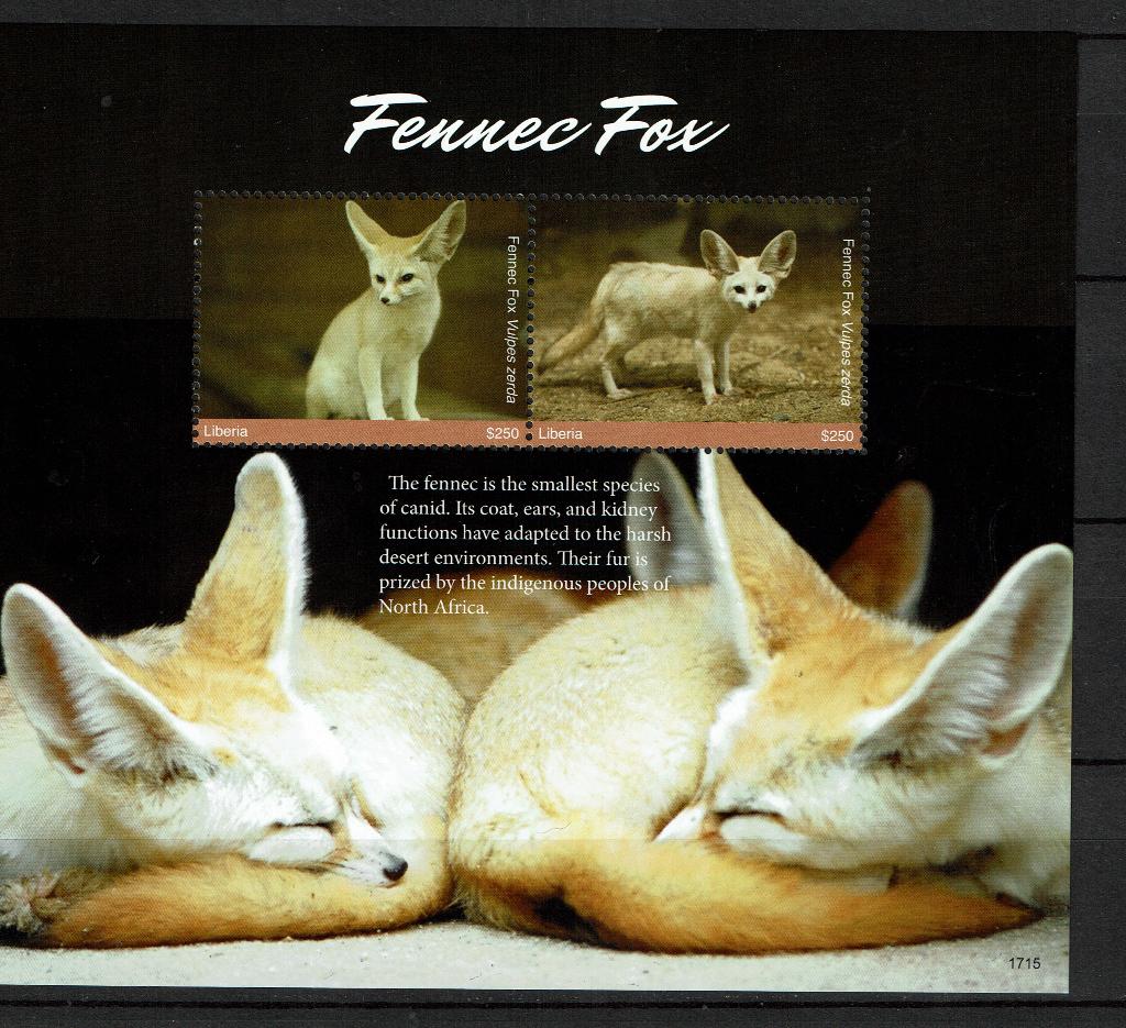 liberia 2017 pf blok fennec woestijnvos wildlife zoogdieren, Ophalen of Verzenden, Postfris, Dier of Natuur