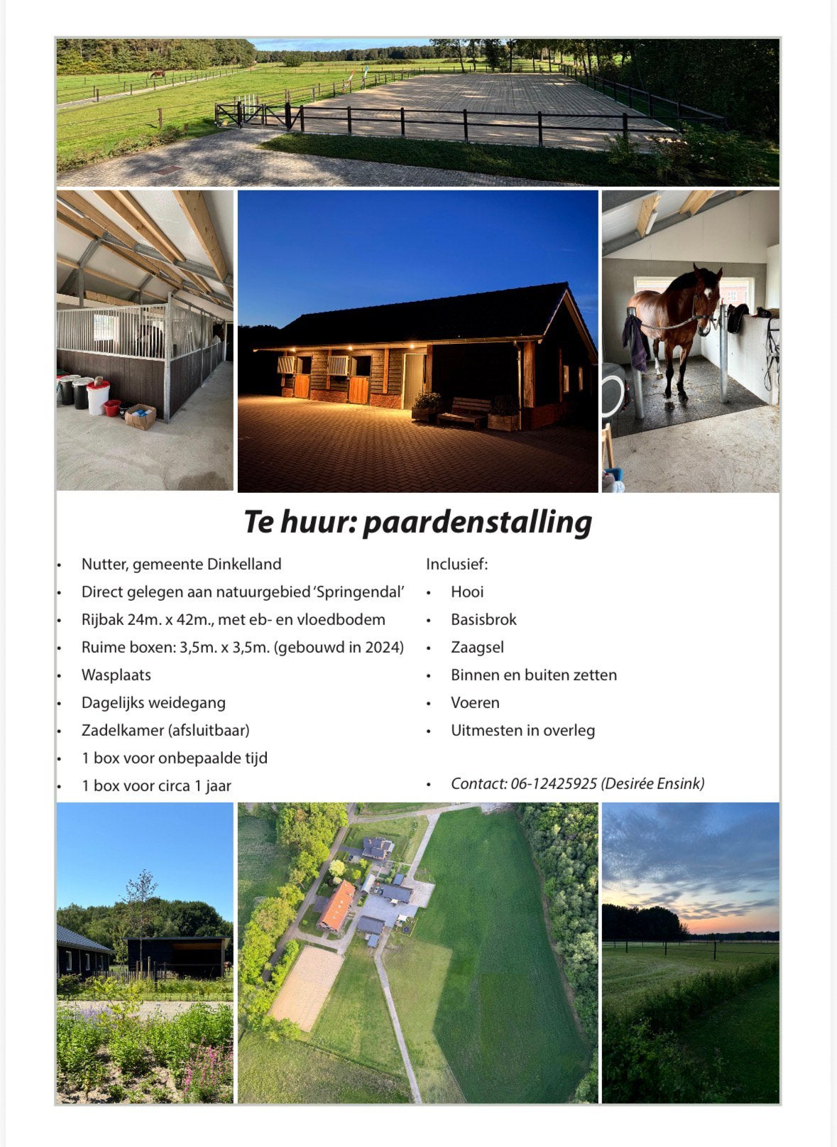 Te huur: paardenstalling in Nutter, Ov, Stalling, 2 of 3 paarden of pony's