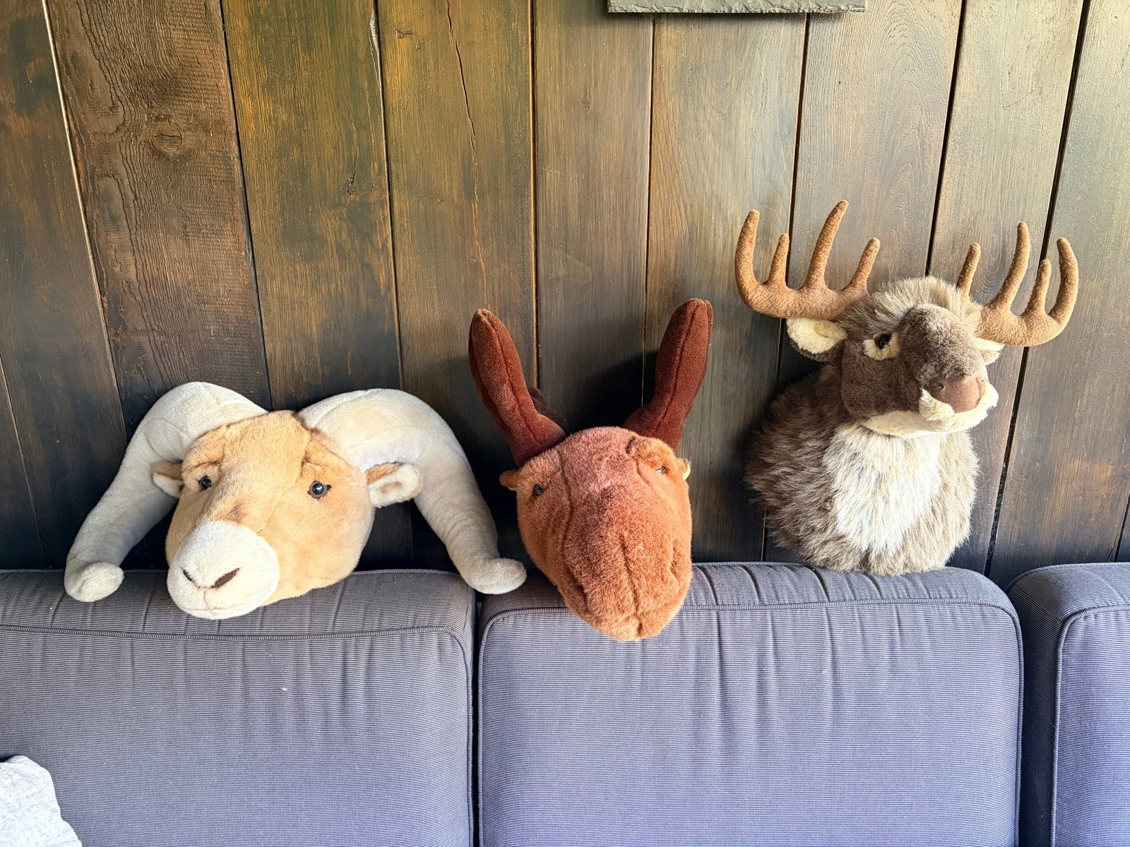 Set van 3 pluche dierenkoppen - Ram, Eland en Hert, Overige typen, Ophalen of Verzenden, Zo goed als nieuw, Middelgroot (20 tot 80 cm)
