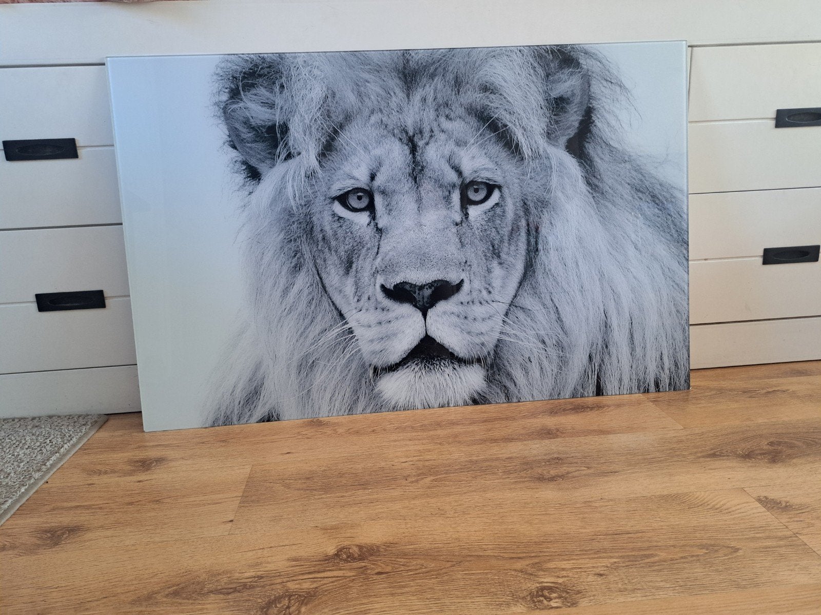 Plexiglas leeuw 110x70 cm, Huis en Inrichting, Ophalen, 50 – 75, Overige typen, Zo goed als nieuw