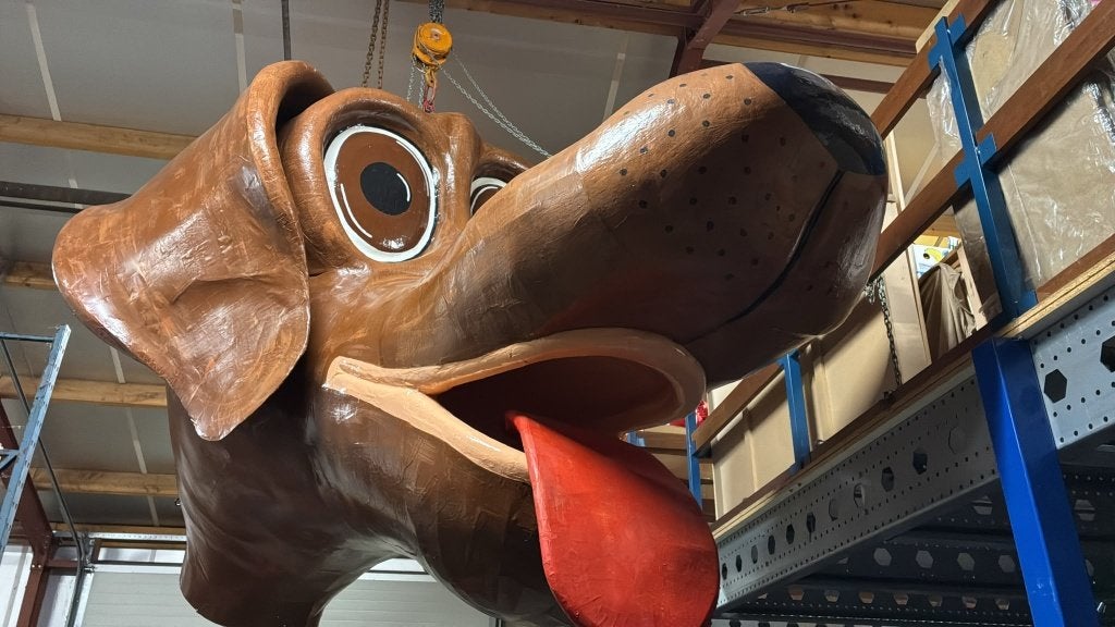 Loopgroep carnaval  Honden, Ophalen of Verzenden, Zo goed als nieuw, Carnaval, Accessoires