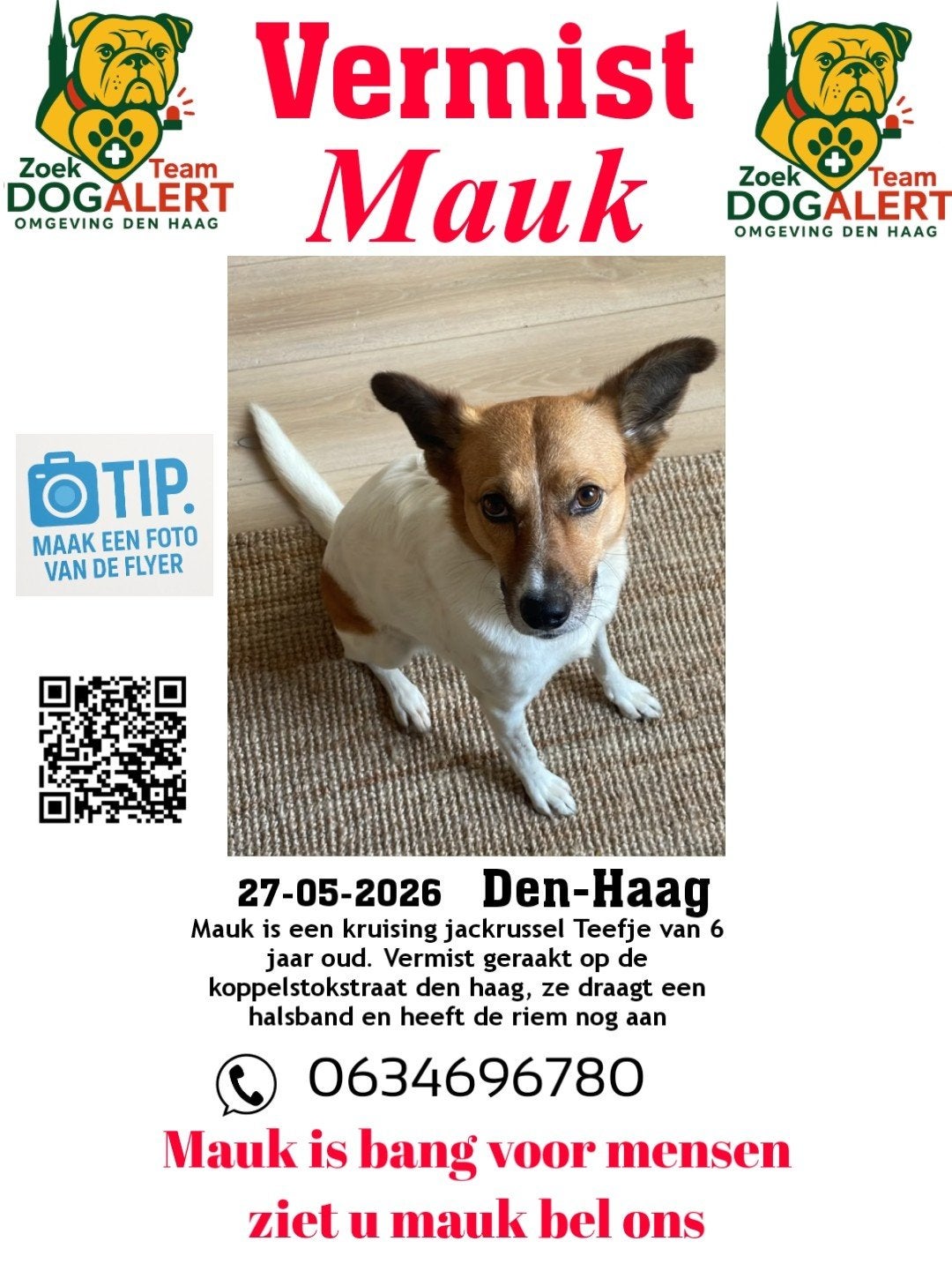 VERMIST, 6 jaar of ouder, Particulier, Buitenland, Eén hond