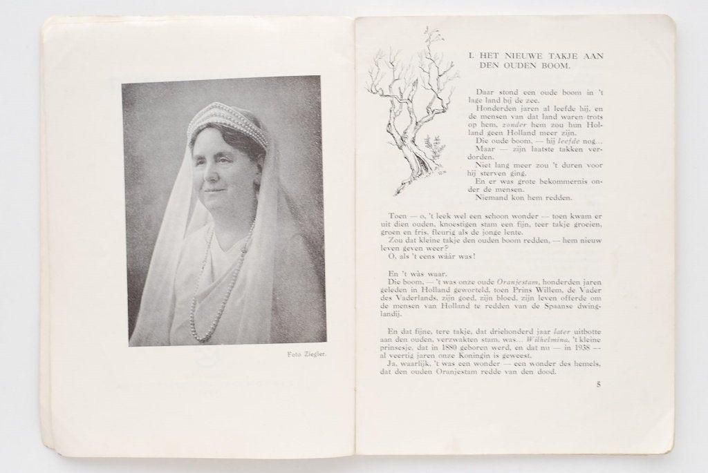 Den Vaderlandt Ghetrouwe: W.G. van de Hulst antiek boek 1938, 's-Gravenhage, Gebruikt, Verzenden, Onbekend