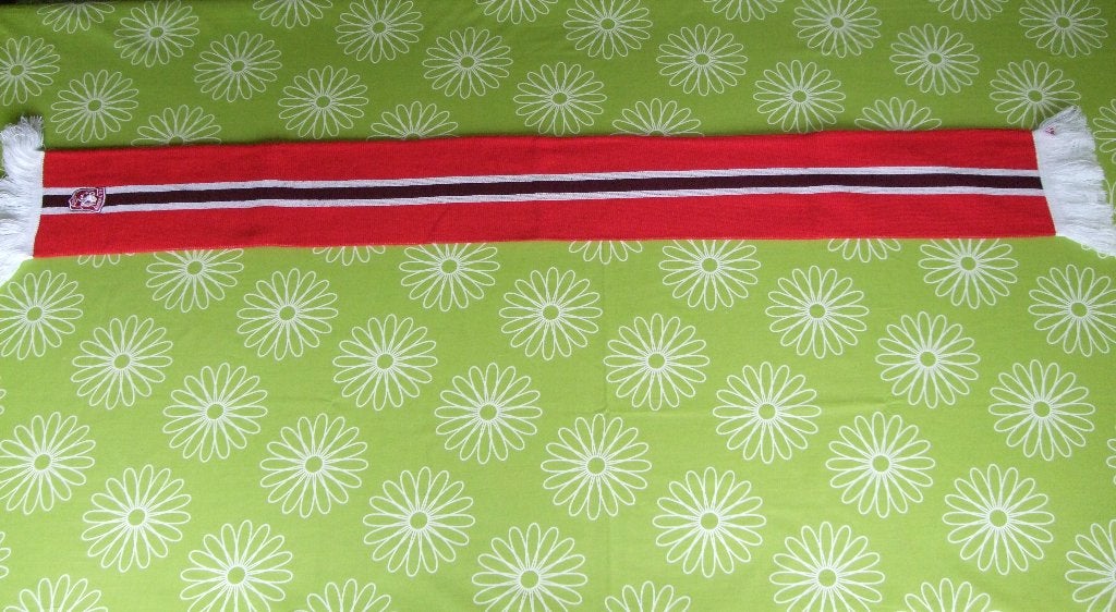 FC Twente sjaal - banen met logo, Ophalen of Verzenden, Zo goed als nieuw, F.C. Twente, Vaantje of Sjaal
