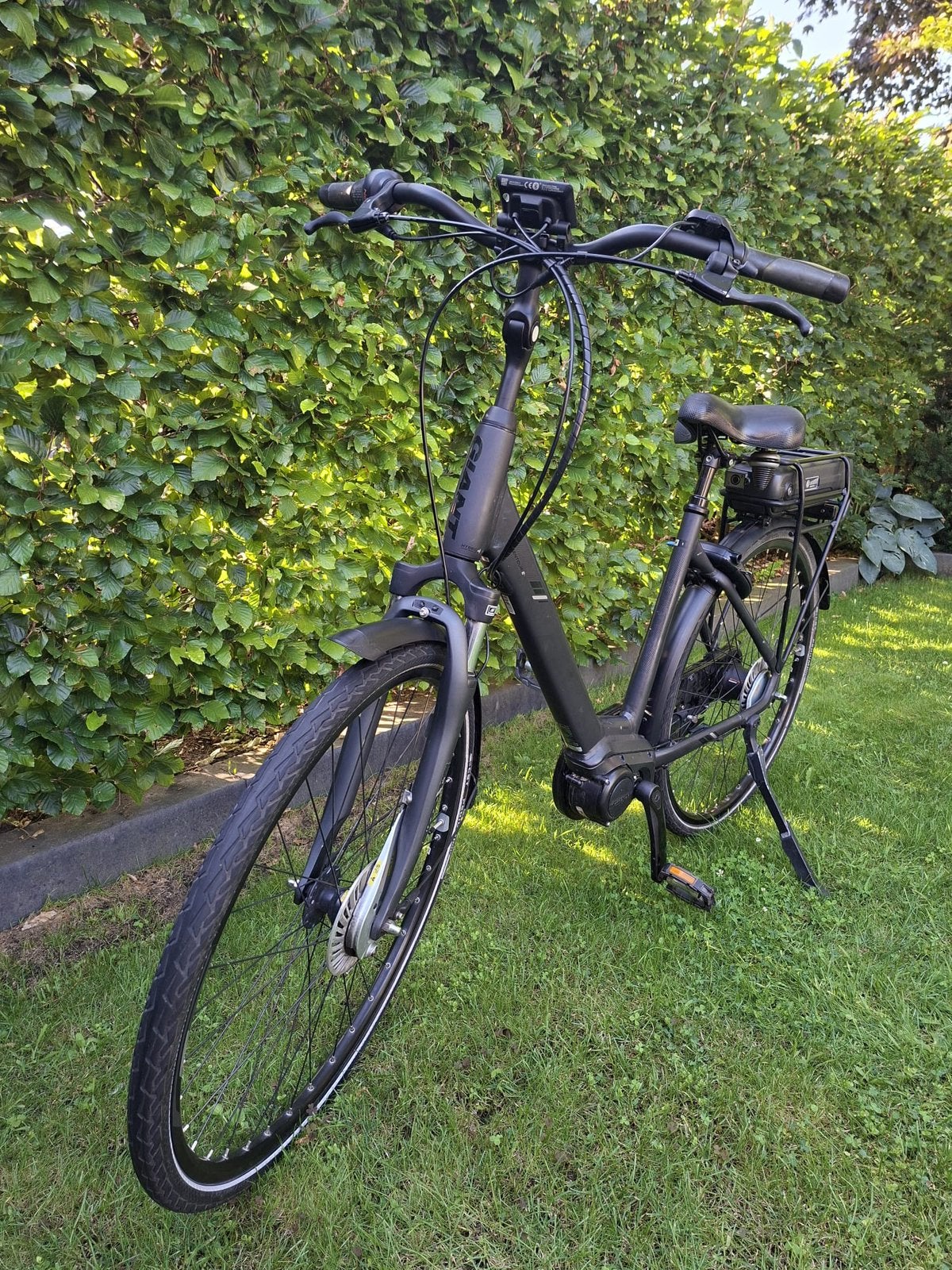 Elektrische dames fiets Giant entour E+, Ophalen, Gebruikt, Giant, 59 cm of meer