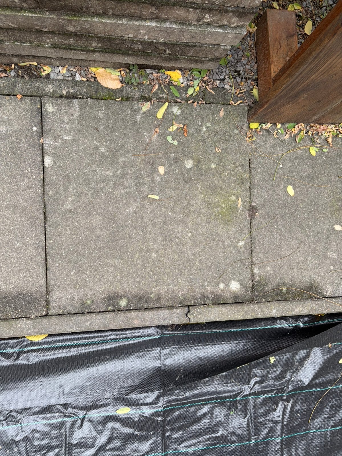 Gratis 12 Tegels 60x60x5 cm, Tuin en Terras, Ophalen, Zo goed als nieuw, Beton, Terrastegels