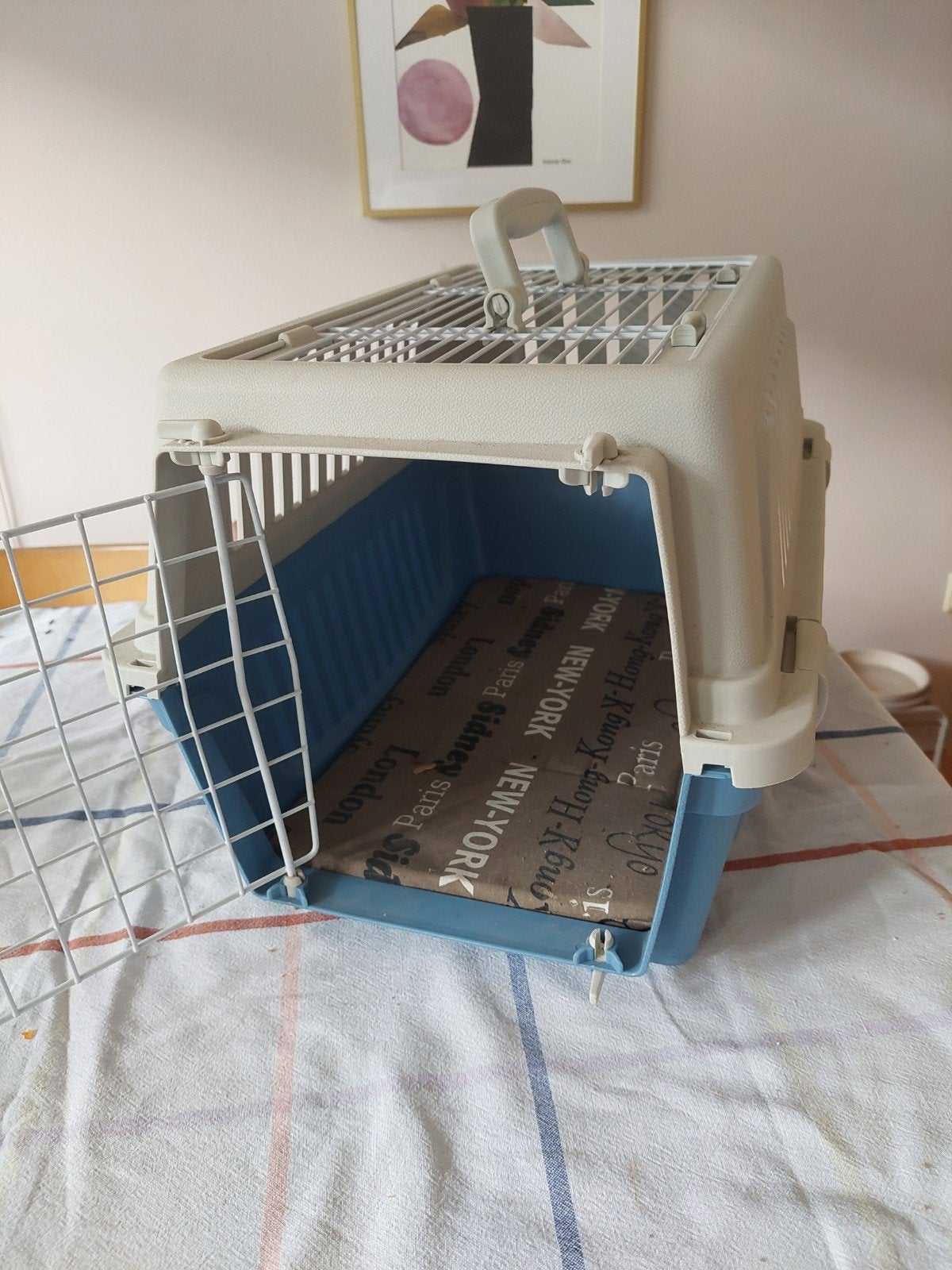 te koop: katten/honden-transport-case, Dieren en Toebehoren, Ophalen, Zo goed als nieuw