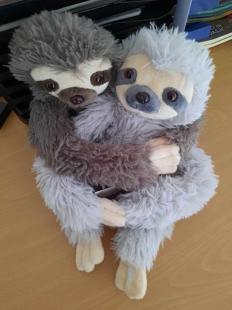 Knuffel luiaard nieuw Goede doel Ned. Cystic Fibrosis Sticht, Overige merken, Grijs, Nieuw, Middelgroot (20 tot 80 cm)