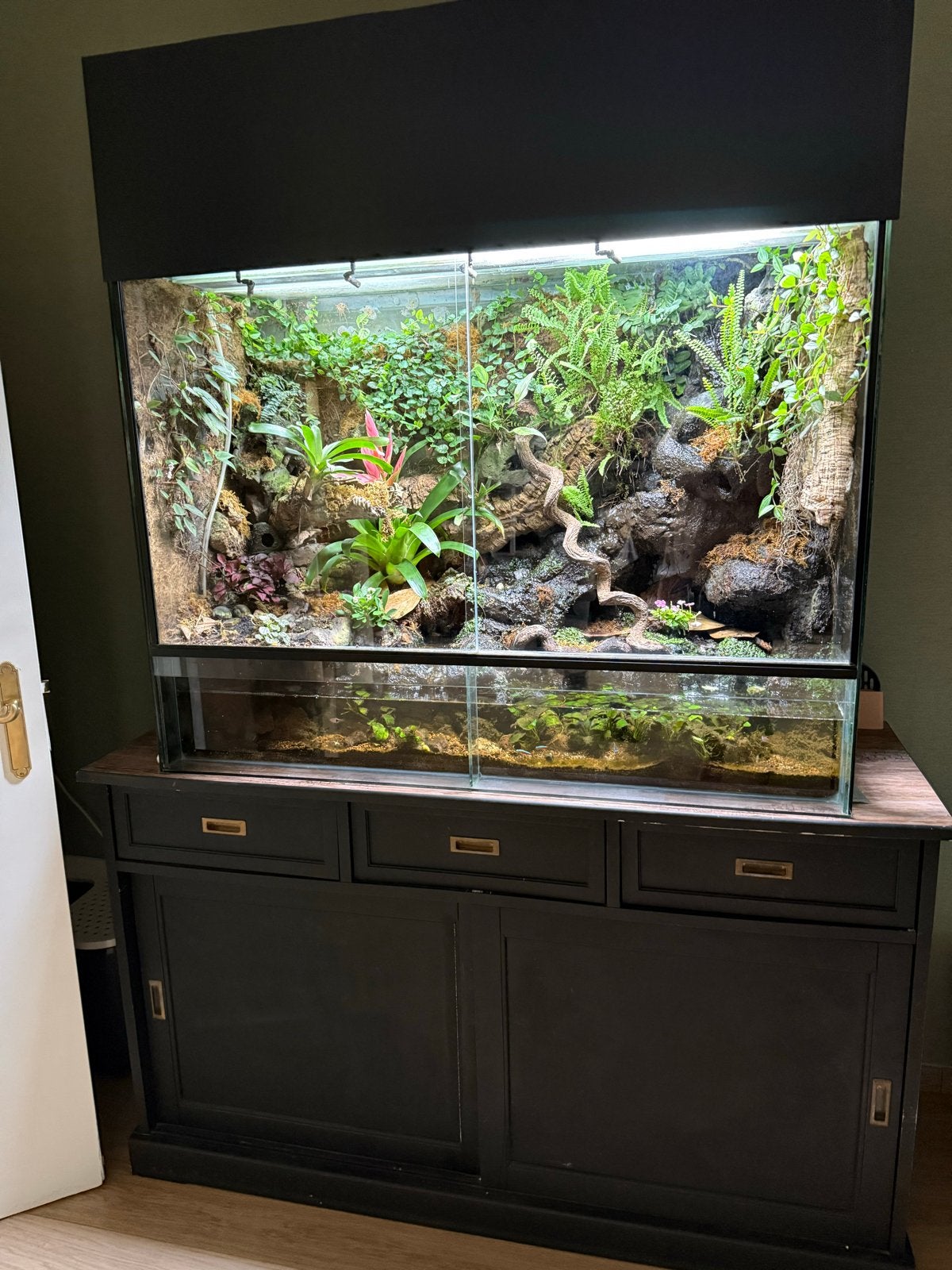 Paludarium, Dieren en Toebehoren, Vissen | Aquaria en Toebehoren, Ophalen