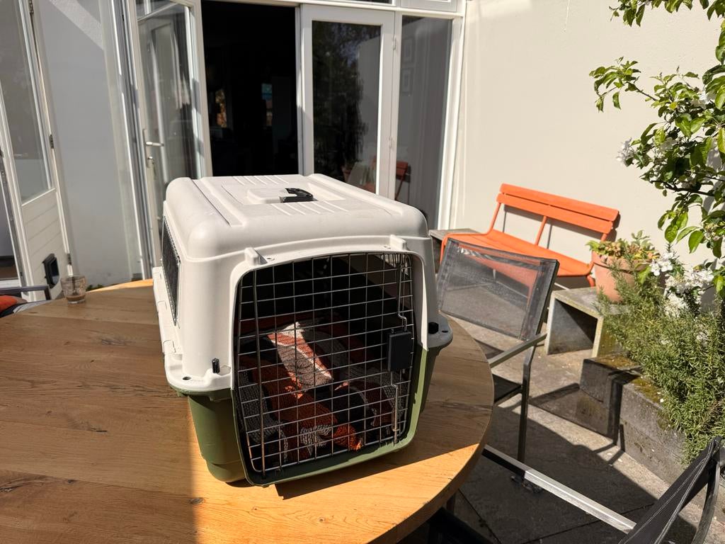 Autobench / hondenvervoersbox, Ophalen of Verzenden, Zo goed als nieuw