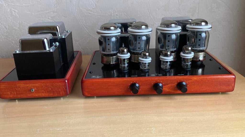 SYNTHESIS VERTIGO 50 wat TRIODE, Ophalen, Buis of Buizen