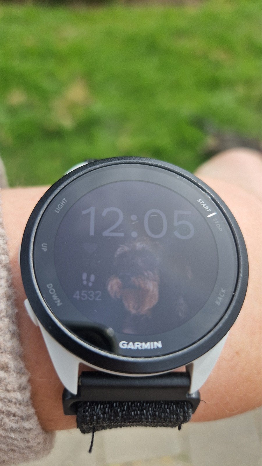 Garmin Forerunner 165 Music - GPS Hardloop Smartwatch, Zwart, Garmin, Ophalen of Verzenden, Zo goed als nieuw
