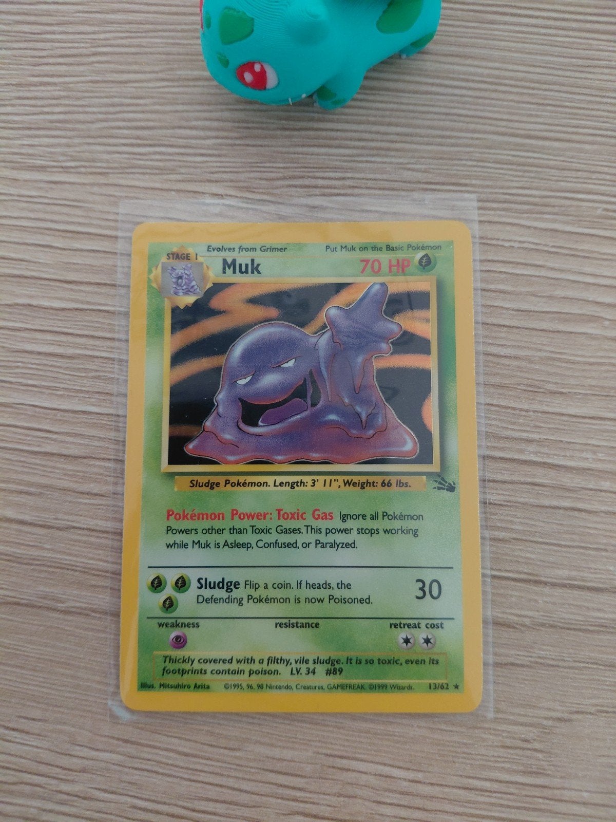 muk fossil holo, Ophalen of Verzenden
