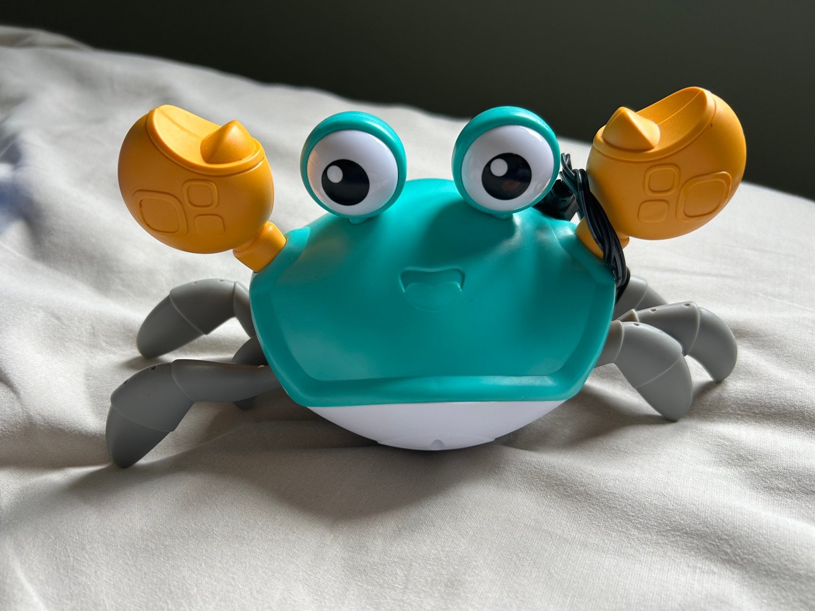 Lopende krab, Ophalen of Verzenden, Zo goed als nieuw, Overige typen