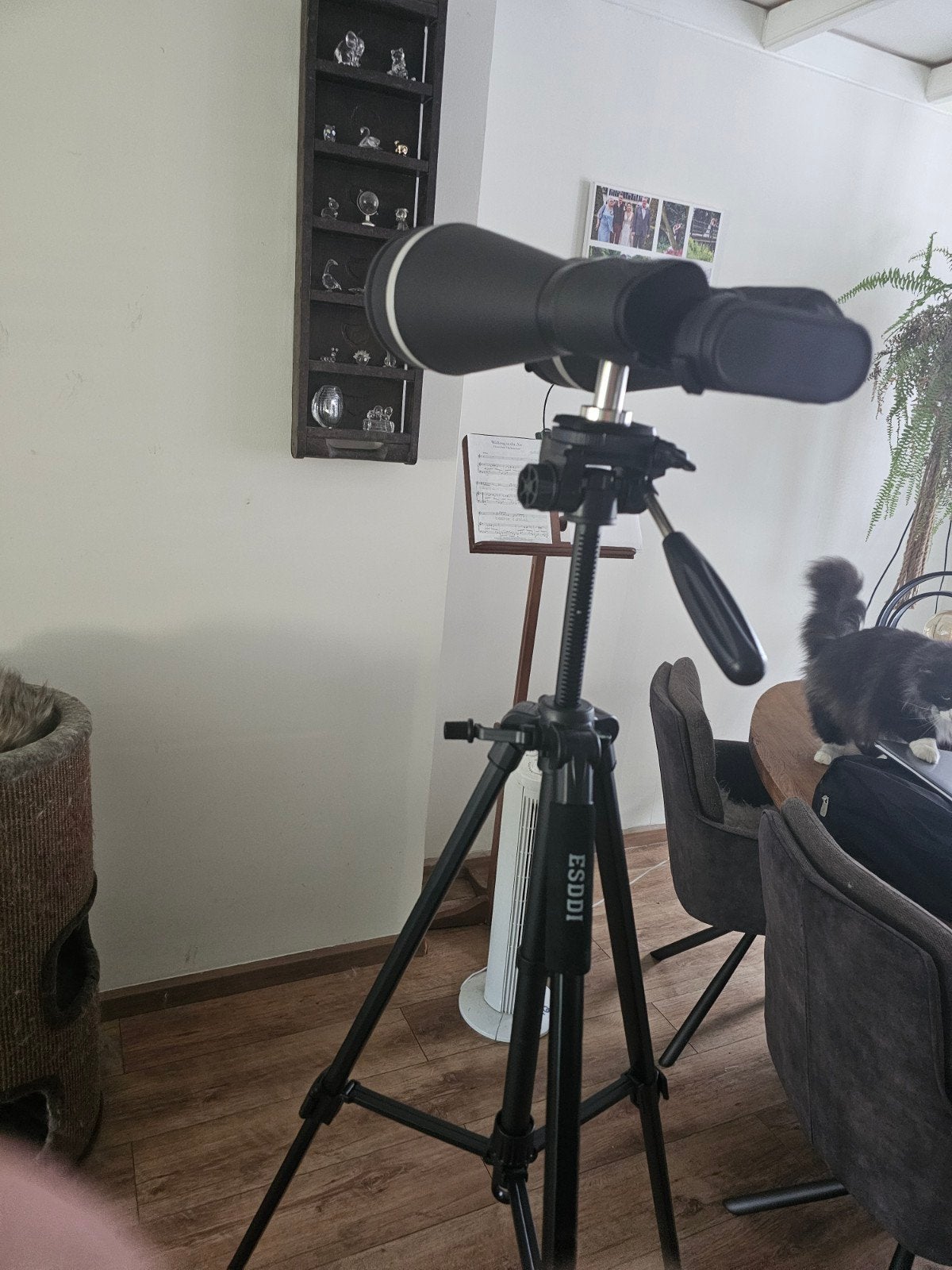 Verrekijker/Sterrenkijker telescoop, Lenzentelescoop (refractor), 80 tot 200 mm, Met statief, Ophalen of Verzenden
