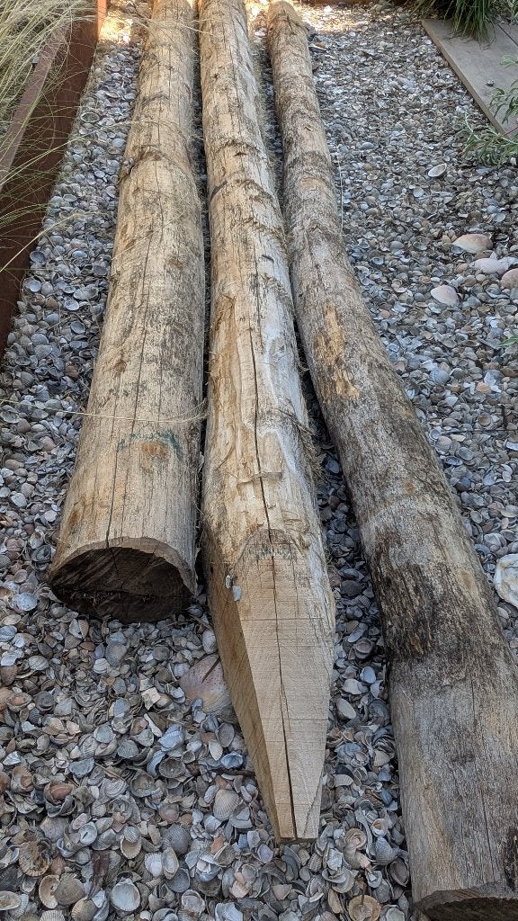 Robinia paal 300cm Nieuw, Ophalen, Nieuw, 250 cm of meer, Palen